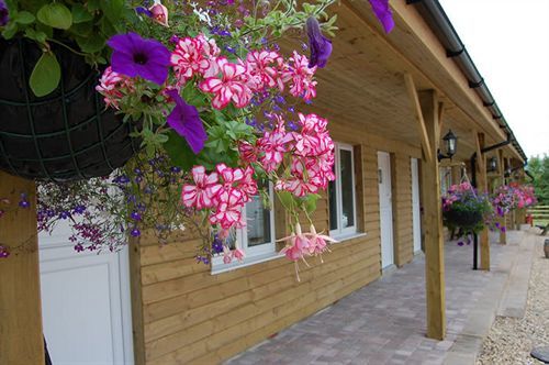 Hotel The Flying Fish Stables Ilminster Zewnętrze zdjęcie
